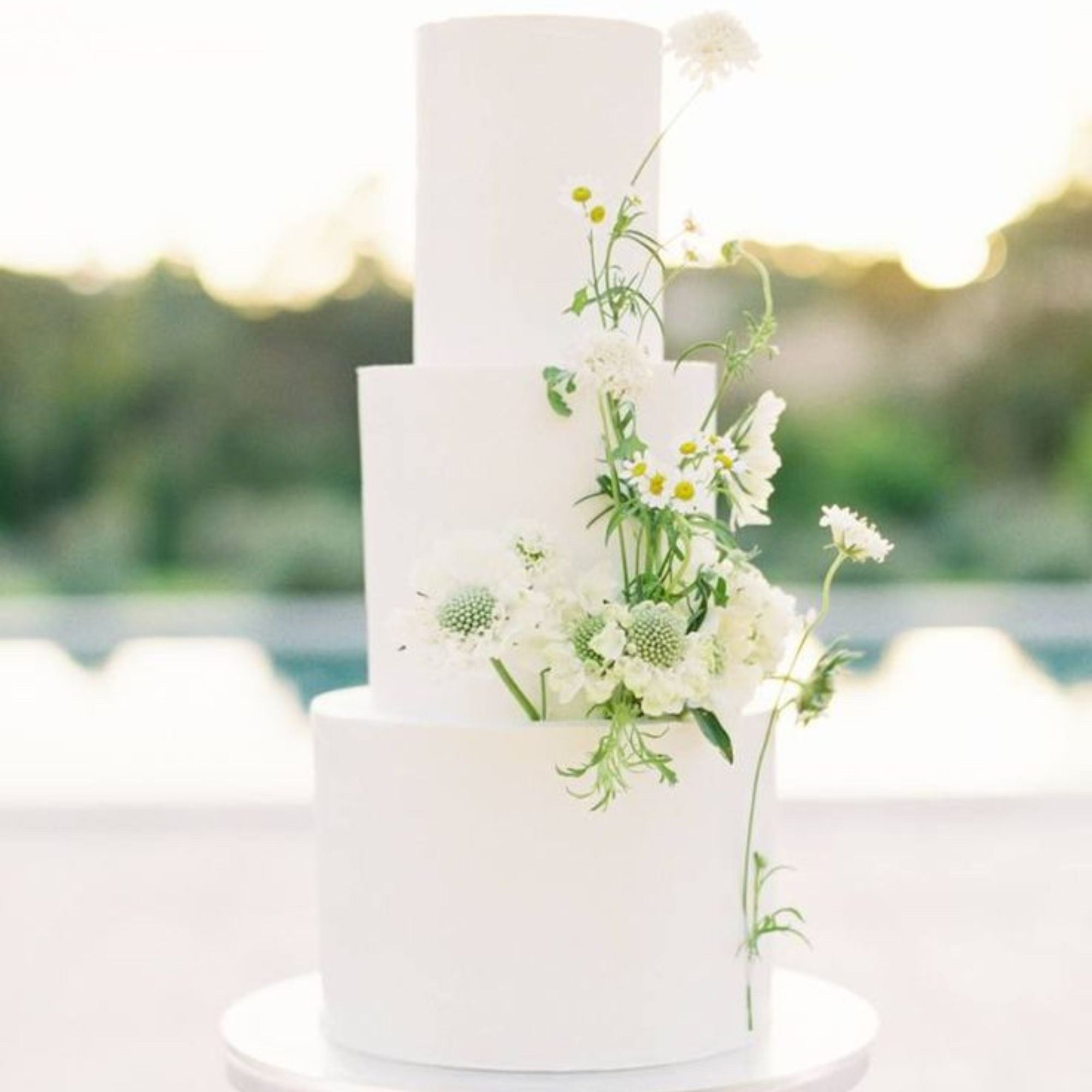 Cake Flowers