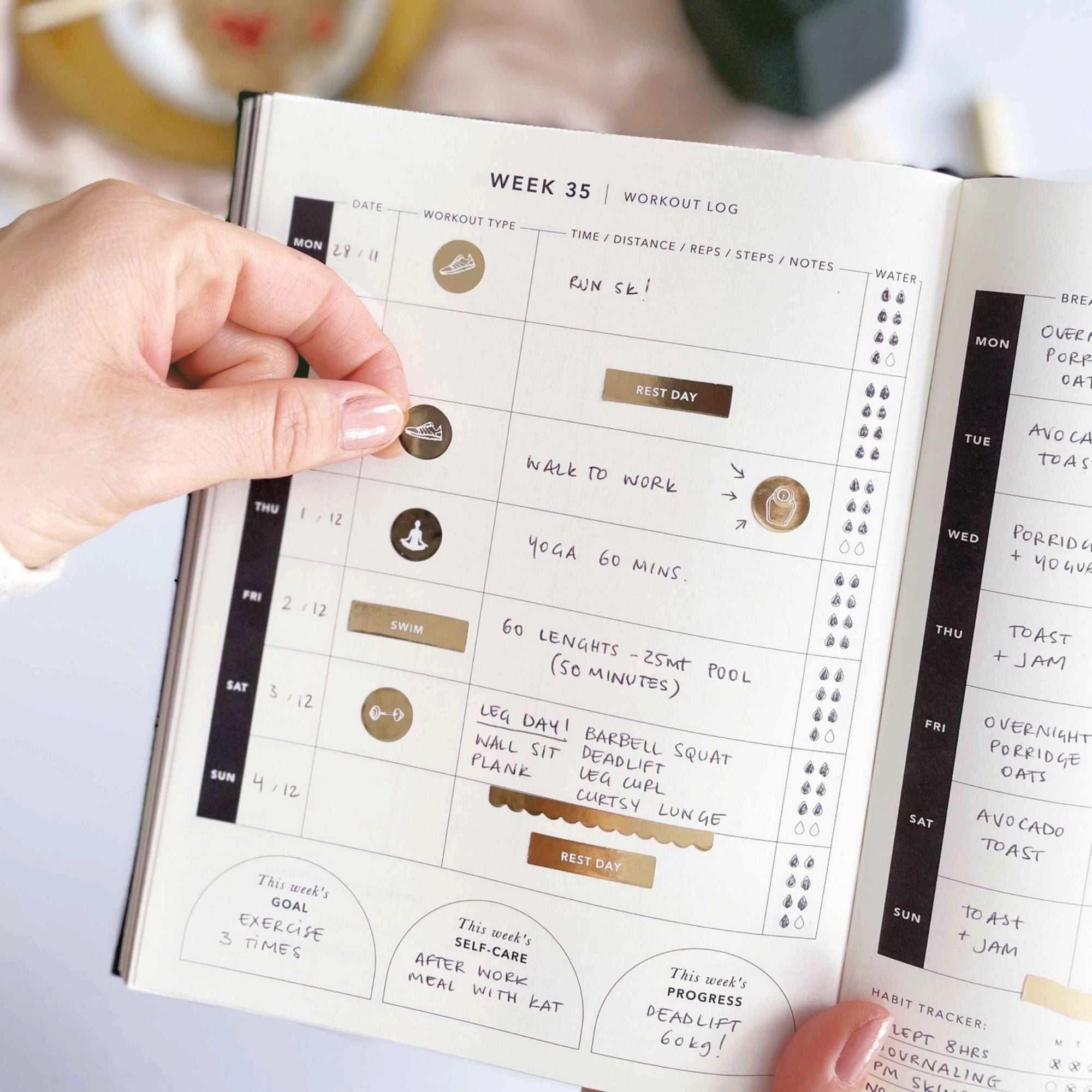 Fitness, Workout & Meal Planner