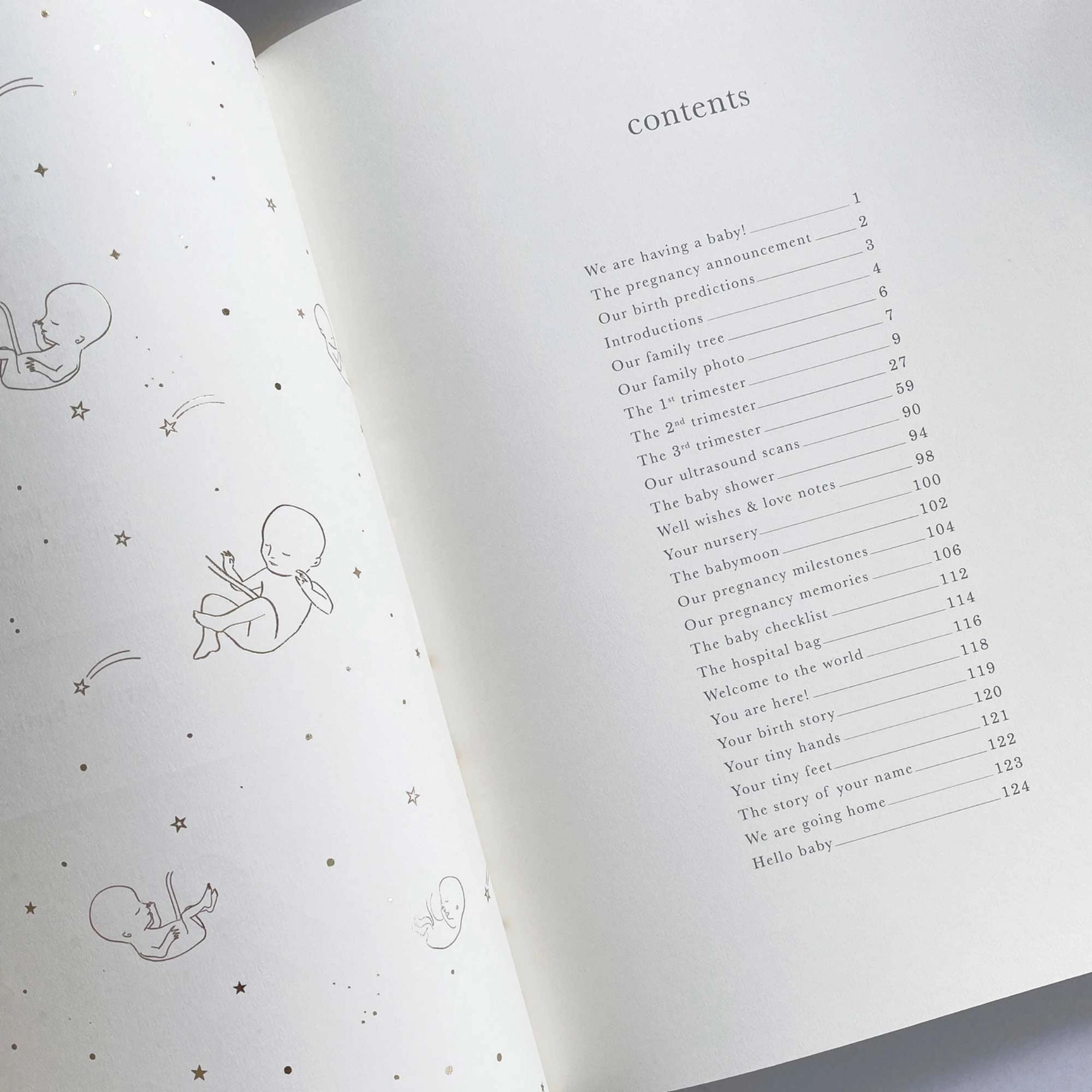 Safari Pregnancy Journal