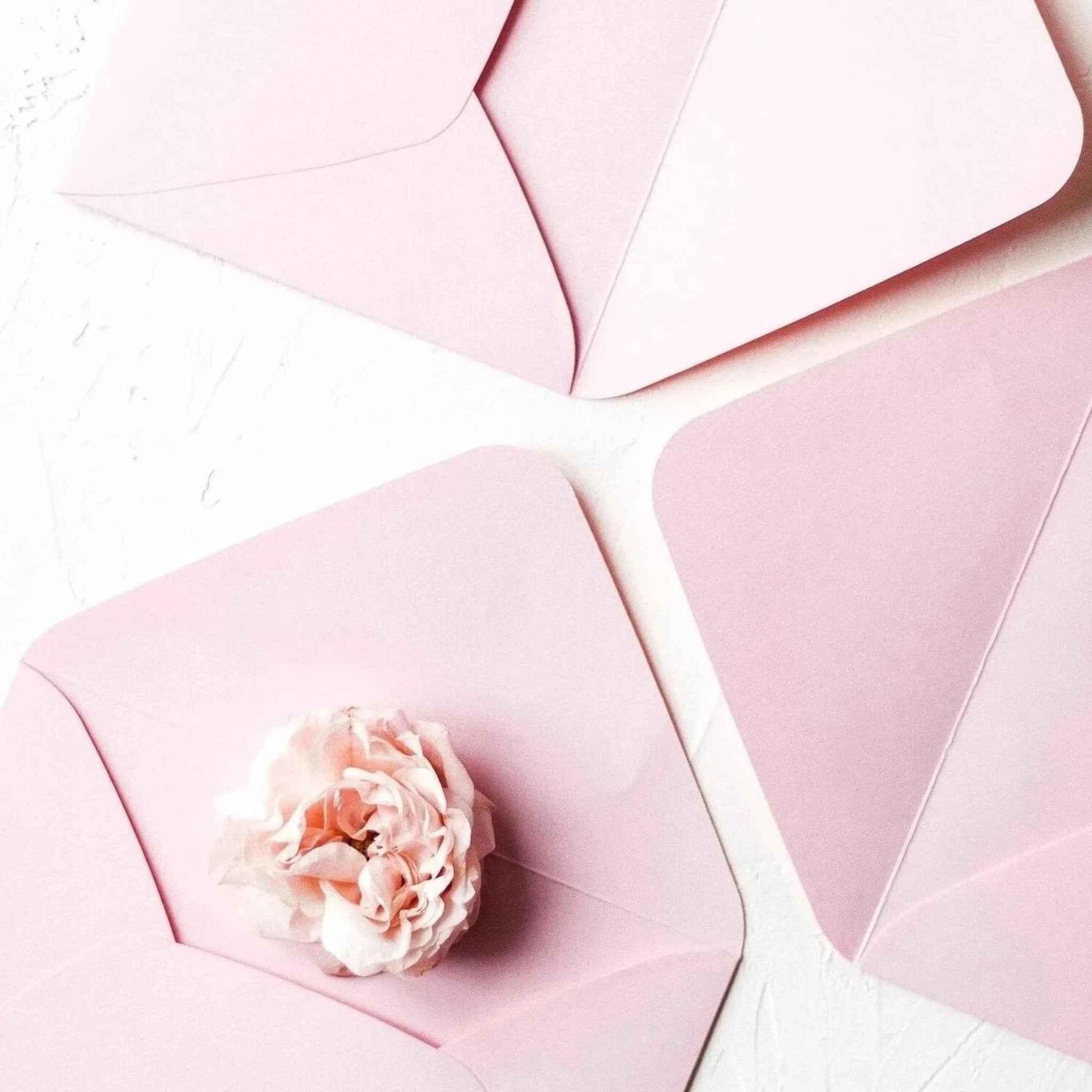 Gift Card - £50 - honeybee blooms