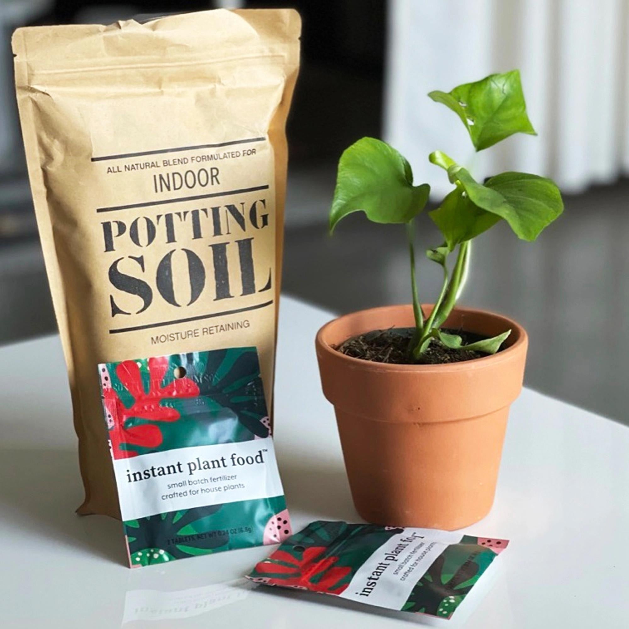 Plant Food - Small Packet